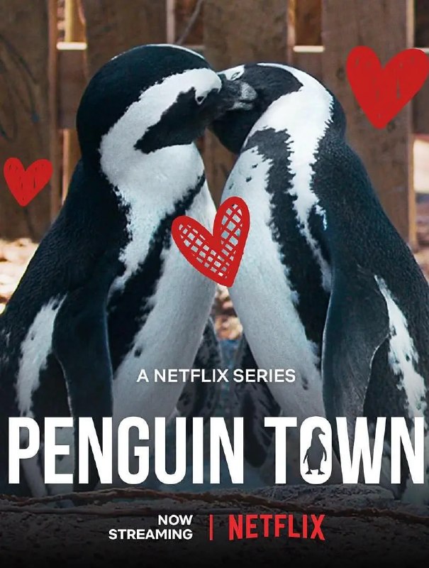 企鹅小镇 Penguin Town (2021)