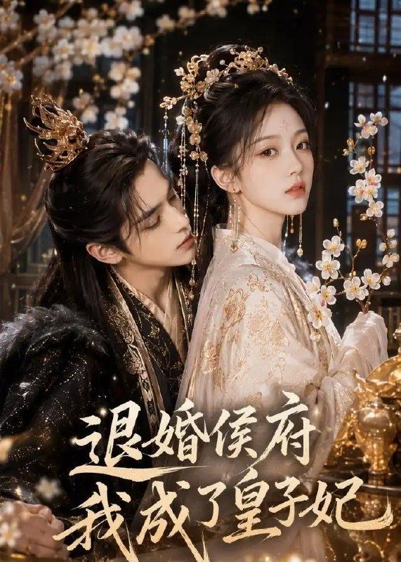 退婚侯府我成了皇子妃（153集） AI短剧