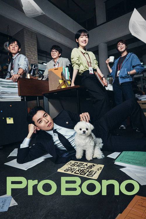 公益律师（2025）1080p S01E01