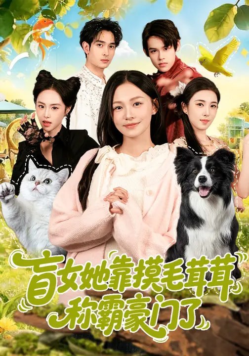 盲女她靠摸毛茸茸称霸豪门了 (84集) 陈洁怡&范骏羽 | 短剧
