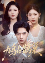 鸠占鹊巢&顶流夫人的致命陷阱（70集）