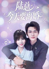 陆总今天要离婚（81集）陈凯洲&李泫逸