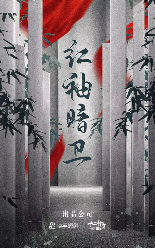 红袖暗卫 (2023)