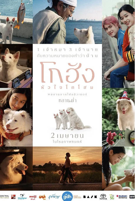 泰国电影《心犬相随》（2026）剧情 / 喜剧 / 爱情[夸克网盘]