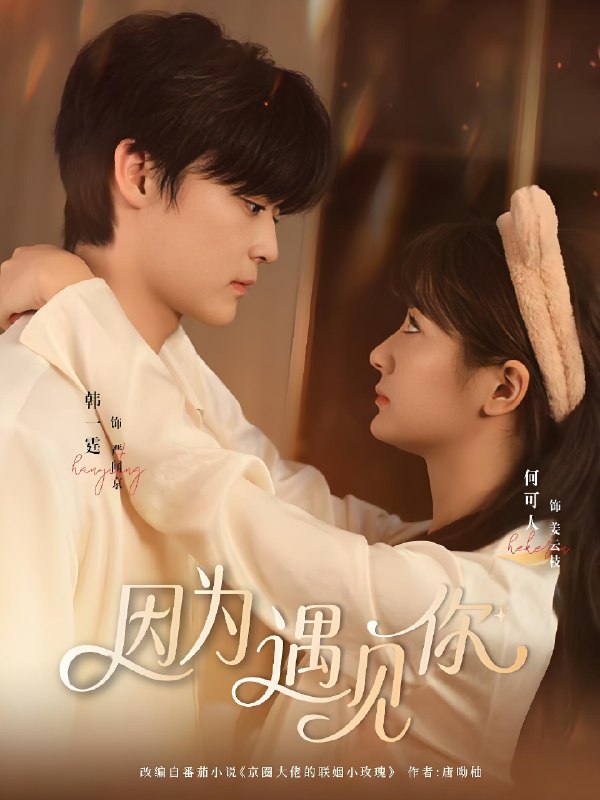 因为遇见你 (79集) 韩一霆&何可人 | 短剧