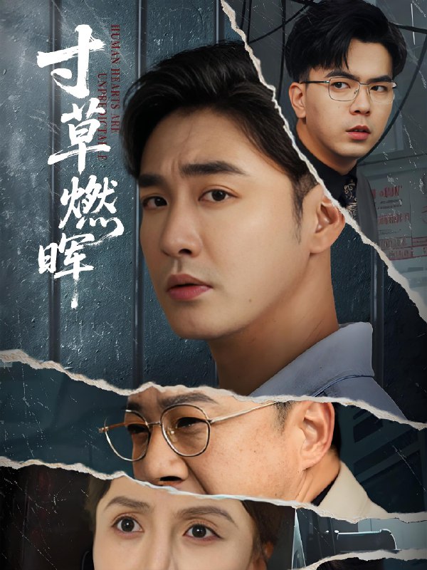 寸草燃晖 (70集) 李季&张敏倩 | 短剧