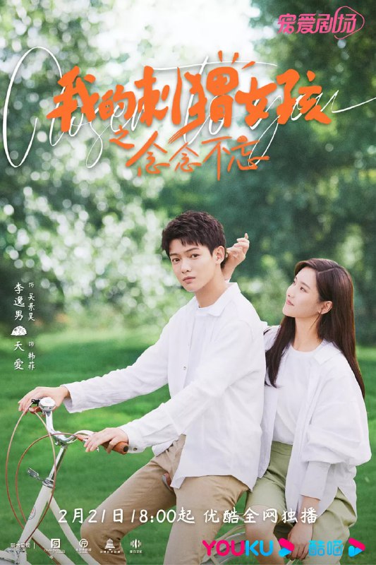 我的刺猬女孩之念念不忘 (2023)