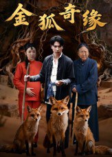 金狐奇缘（42集）李图图&张旭|短剧