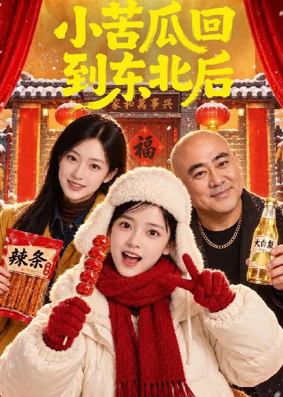 小苦瓜回到东北后（100集）AI短剧