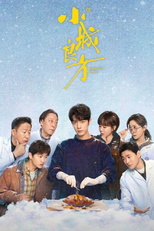 小城良方(2026)IQ 4K 内封简中 更至EP12
