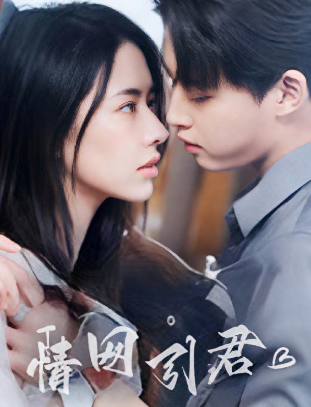 情网引君(68集)李木扬&辛润茜 /最新 短剧