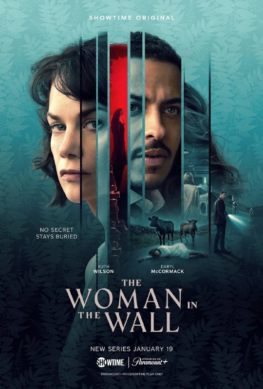 墙里的女人 The Woman in the Wall (2023)-淘客掘金网