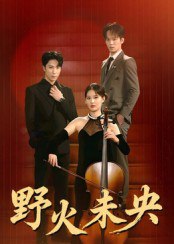 野火未央（40集）张旭&刘畅|短剧