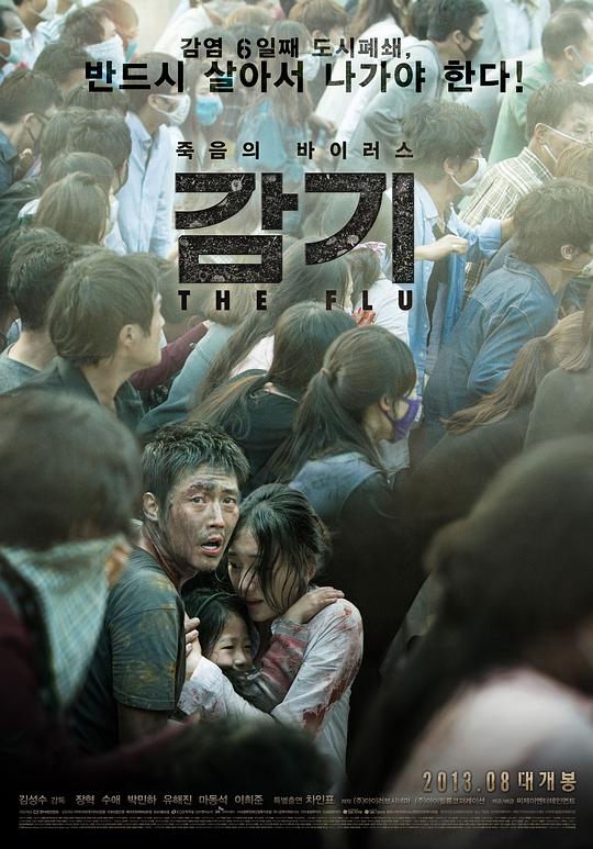 流感 감기 (2013) 1080p 原盘Remux 中文字幕 【27.08GB】已刮削