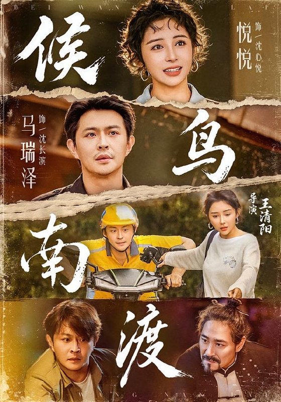 候鸟南渡（75集）悦悦＆马瑞泽|短剧