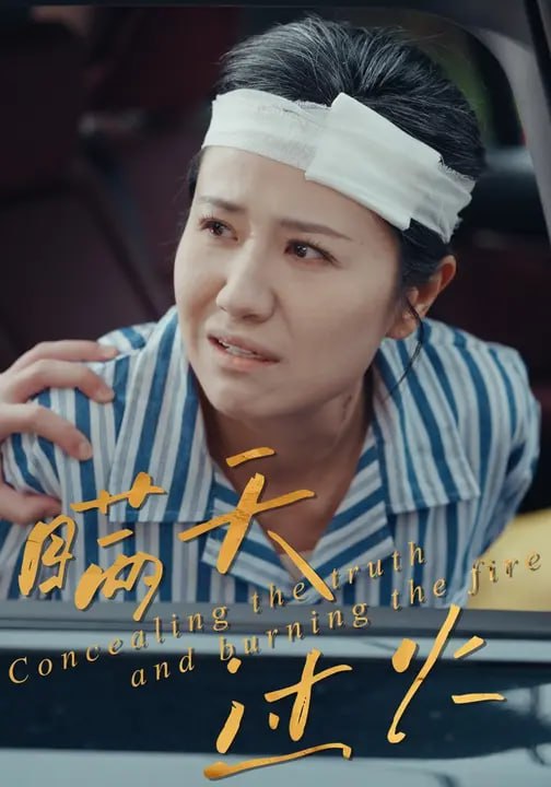 瞒天过火（30 集）姚金乐 & 周心怡