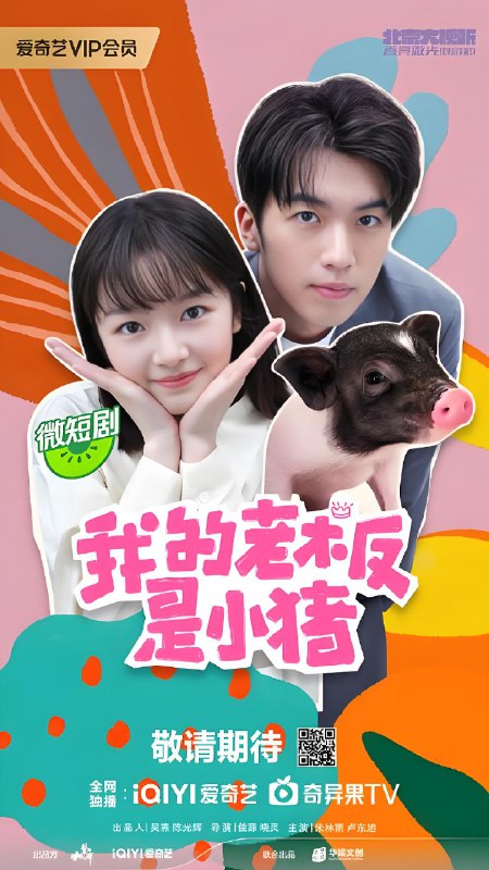 我的老板是小猪 (12集) 朱林雨&卢东旭 | 微剧