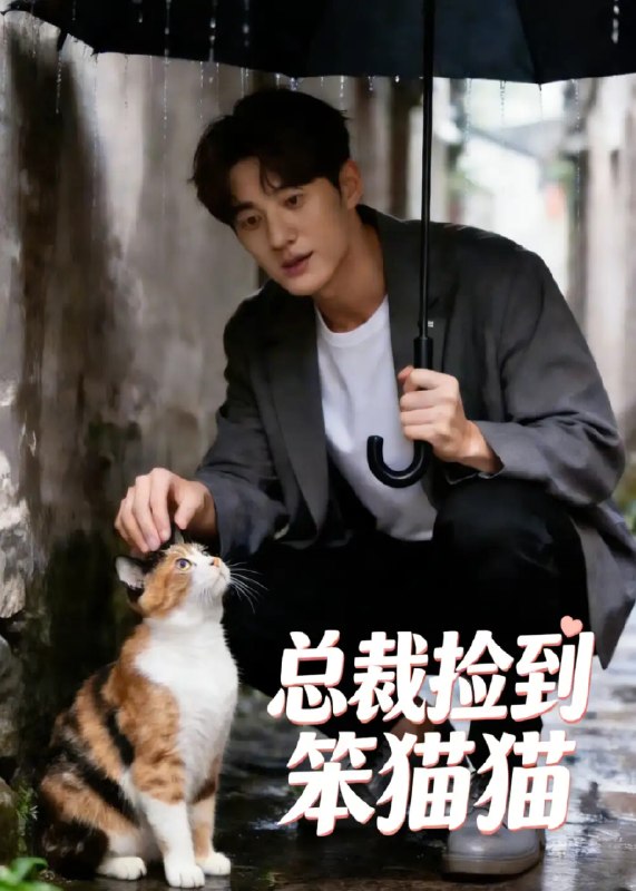 总裁捡到笨猫猫(41集)AI短剧