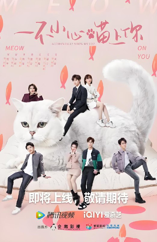 一不小心喵上你 (24集) 邢昭林&胡冰卿 | 国产剧