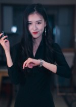 制裁者的游戏（25集）|短剧