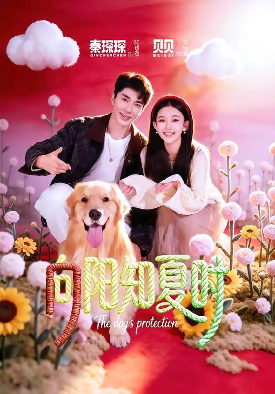 2026年4月19日 短剧更新目录7