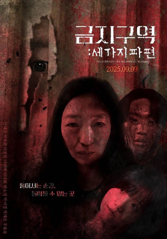 禁区三个碎片 금지구역: 세 가지 파편 (2025)
