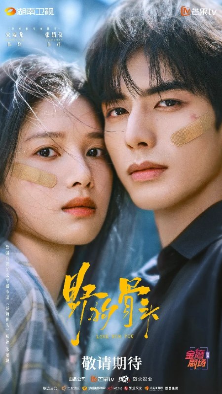 野狗骨头(2026)【更06集】【4K.SDR】【内嵌简中】【剧情/爱情】【宋威龙/张婧仪】