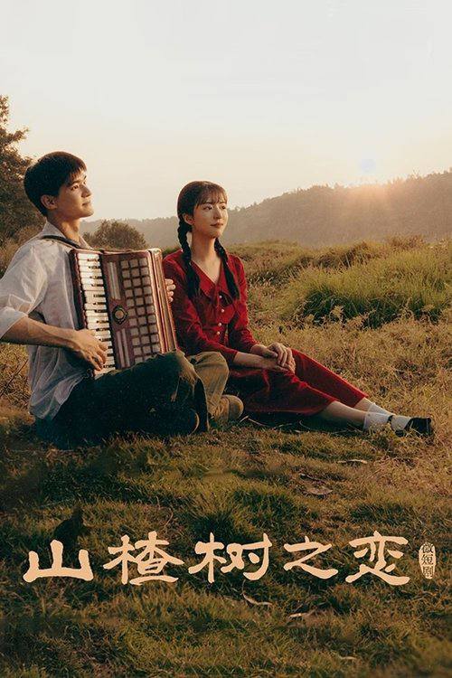 山楂树之恋(2025)4K 臻彩 S01全