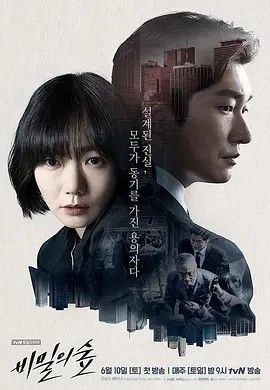 秘密森林 2季全 1080P 中字内嵌字幕