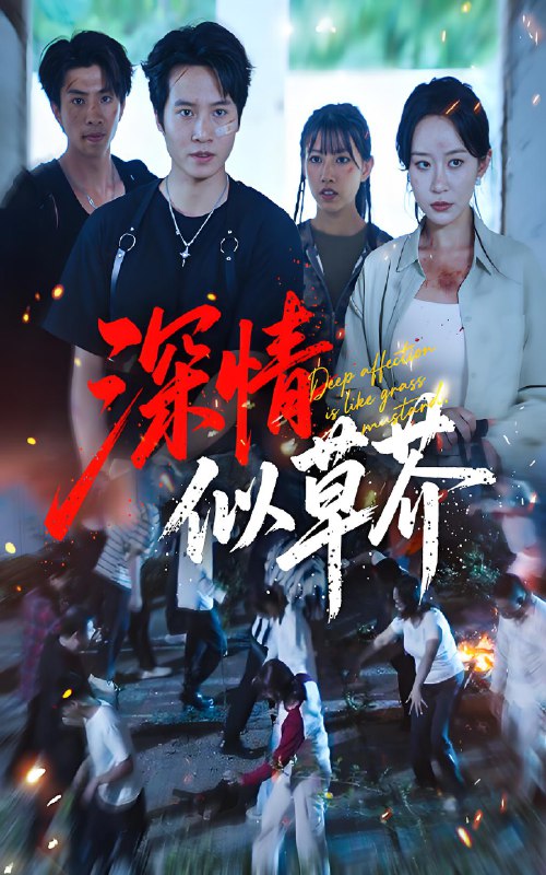 深情似草芥 (51集) 源鑫&王瀚迎 | 短剧