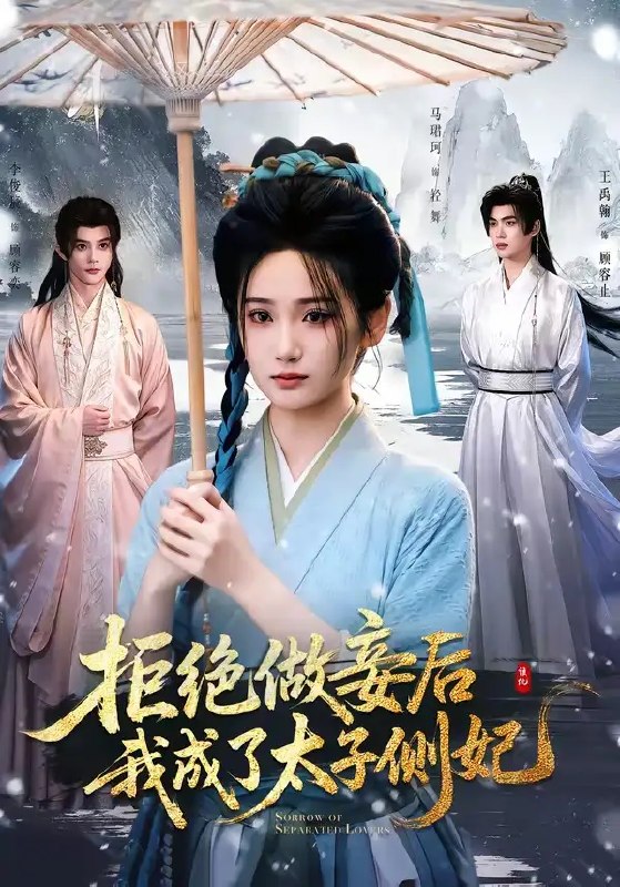 拒绝做妾后我成了太子侧妃一纸离人愁(89集)李俊辰&马珺珂