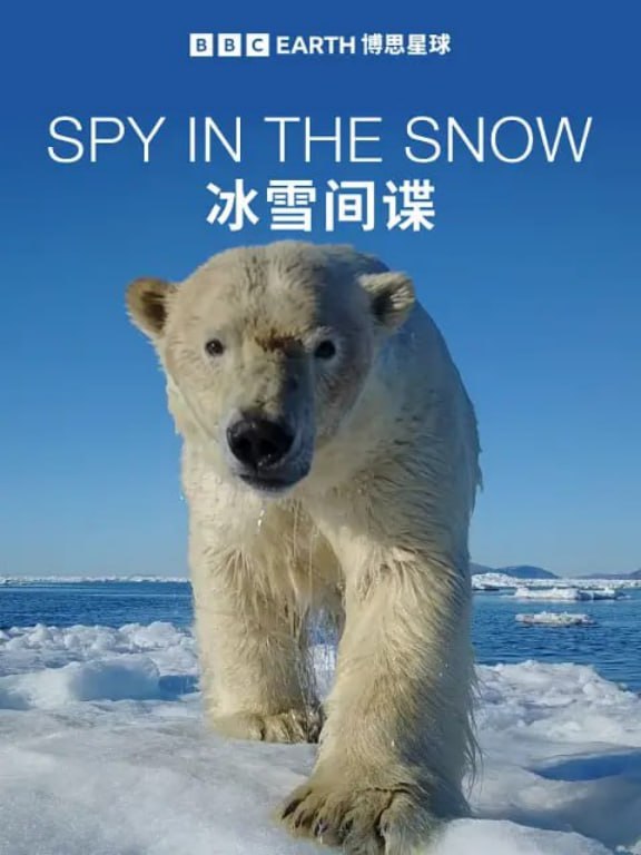 冰雪间谍  (2018) 1080