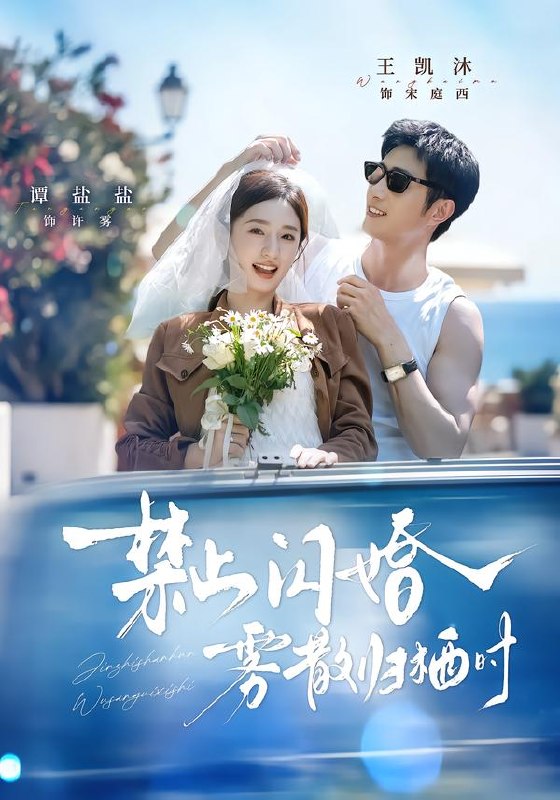 禁止闪婚，雾散归栖时（66集）王凯沐＆谭盐盐（1080P）|短剧