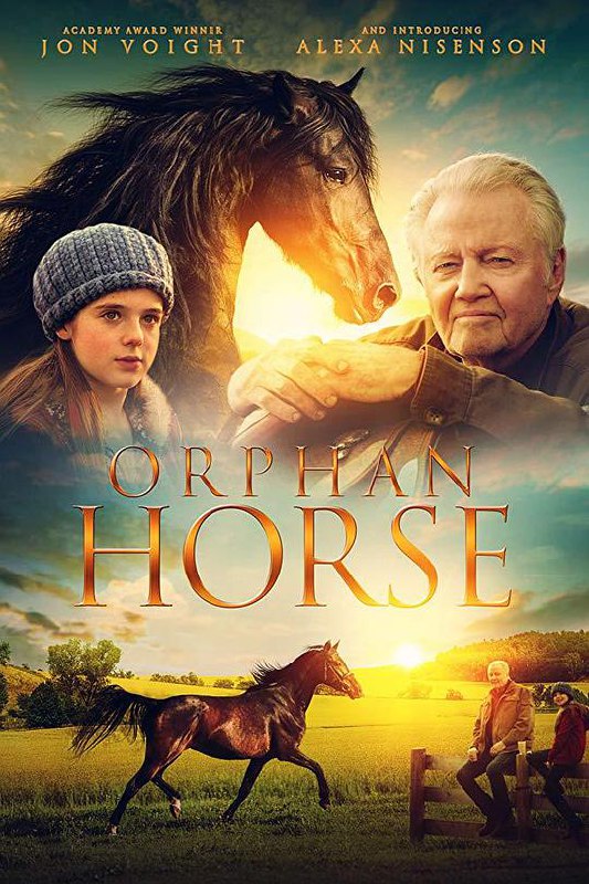 孤马 Orphan Horse (2018) 1080p 原盘Remux 【22.16GB】已刮削