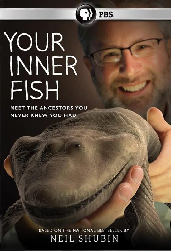你体内的鱼 Your Inner Fish (2014)