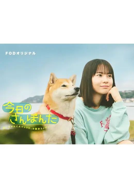 【日剧】今日份的散步 全8集 日语中字 2025 1080P