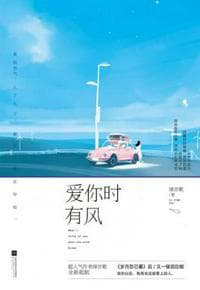 爱你是有风 电子书