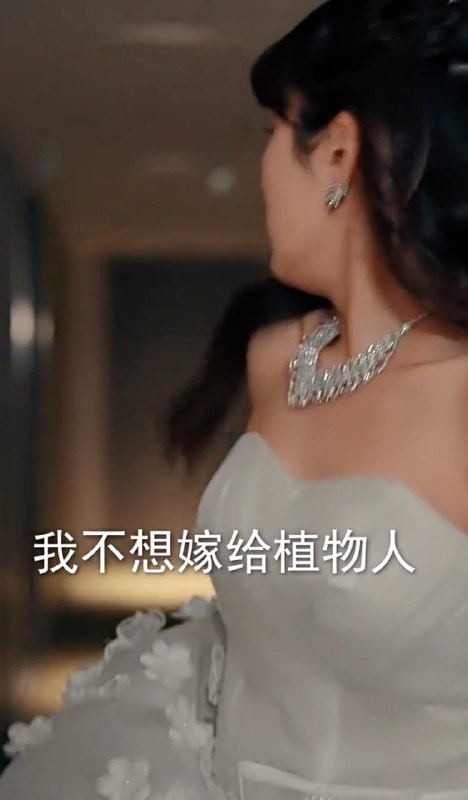 离婚后冷爷他知错了（99集） /最新 短剧