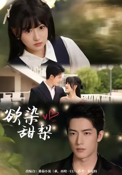 欲染甜梨（63集）李咏婧＆焦睿|短剧