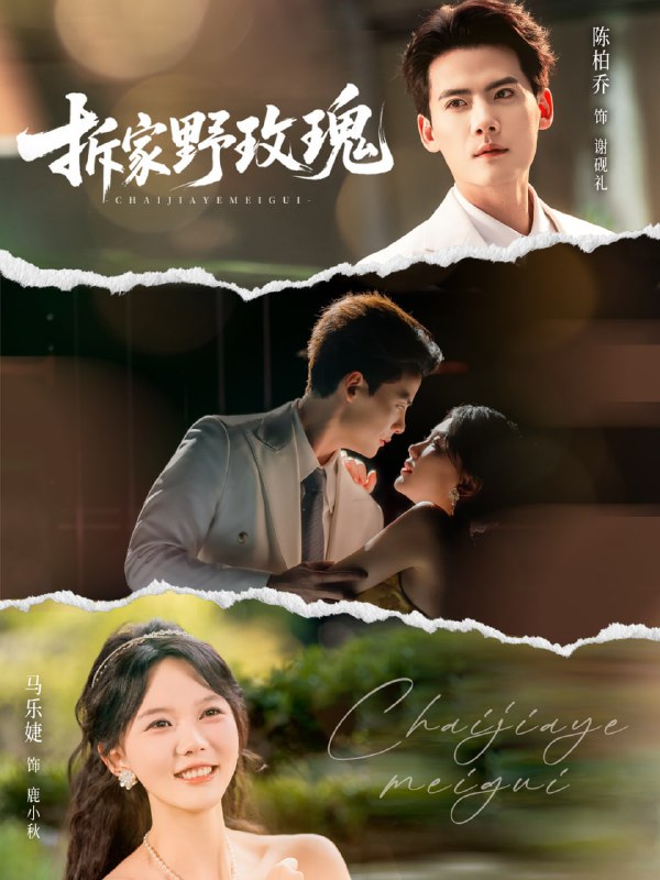 拆家野玫瑰（80集）陈刚＆马乐婕|短剧