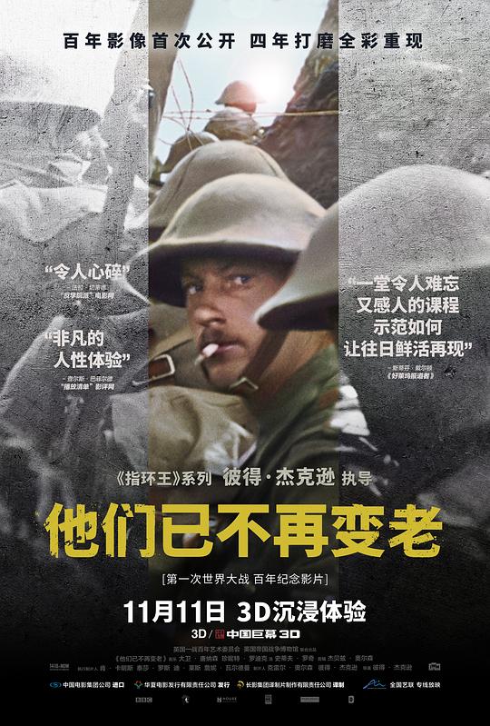 他们已不再变老 They Shall Not Grow Old (2018) 1080p 原盘Remux 中文字幕 【15.36GB】已刮削