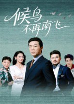 候鸟不再南飞（80集）苗峯&王真真|短剧