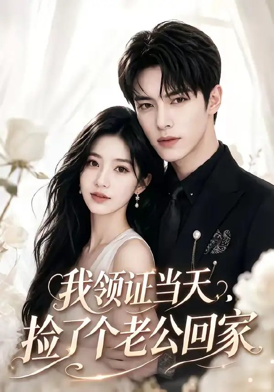 我领证当天,捡了个老公回家&我领证当天捡了个老公回家(85集)AI短剧