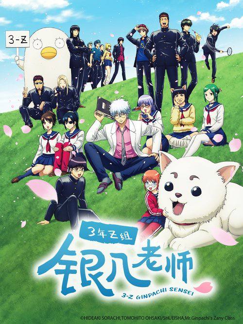 3年Z班银八老师