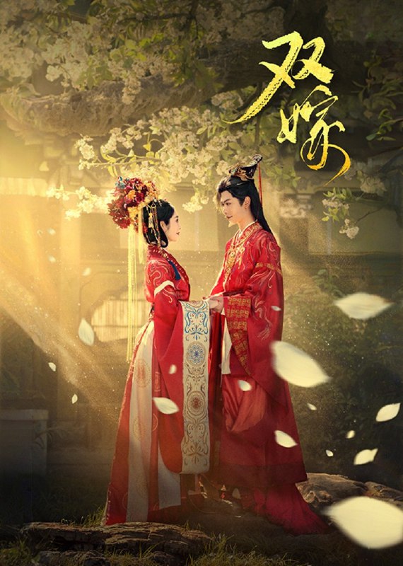 双嫁（60集）戴琪轩&张正越|短剧