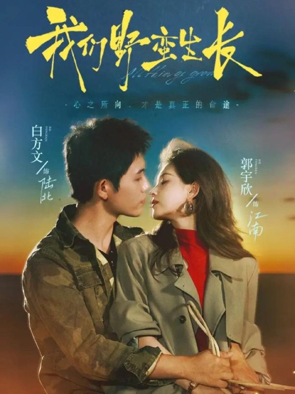 2025年11月7日 短剧合集目录5