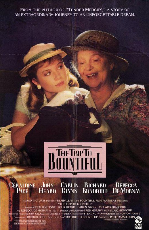 邦蒂富尔之行 The Trip to Bountiful (1985) 1080p 原盘Remux 中文字幕 【19.59GB】已刮削