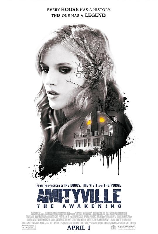 鬼哭神嚎觉醒 Amityville: The Awakening (2017) 1080p 原盘Remux 中文字幕 【11.14GB】已刮削