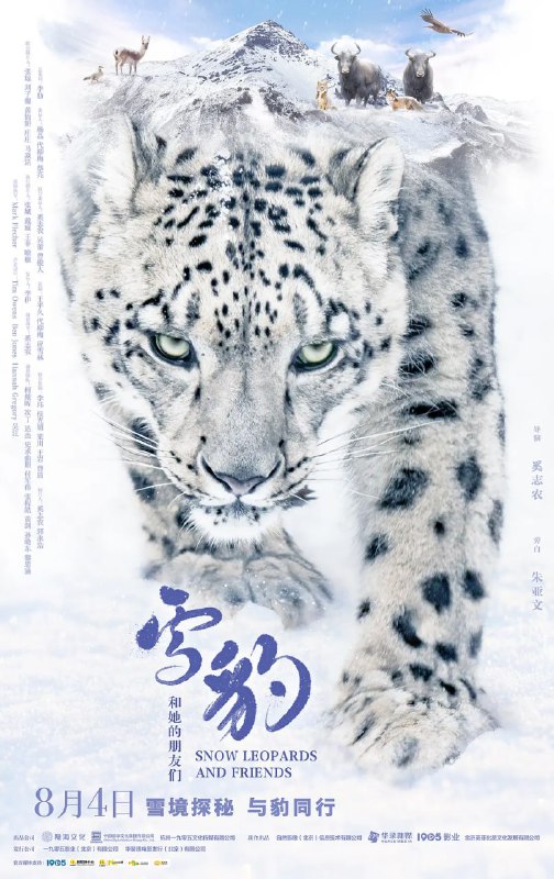 雪豹和她的朋友们 (2023)
