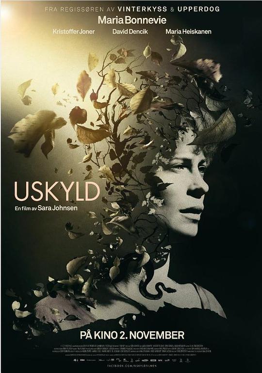 往事如烟 Uskyld (2012) 1080p 原盘Remux 【20.17GB】已刮削